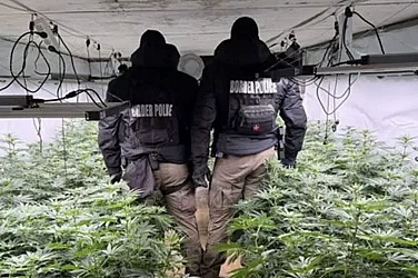 Разбиха модерна наркооранжерия в Луково, задържаха издирван от Интерпол