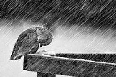 Силен вятър в почти цялата страна