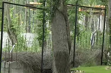 Махнаха оградата около спорен строеж в Баба Алино