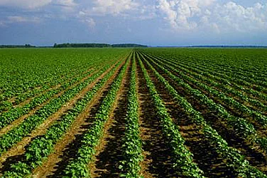 От водещ износител до вносител: Френският агросектор с първи търговски дефицит от десетилетие