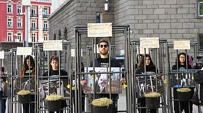 Хора в клетки пред парламента в защита на телетата