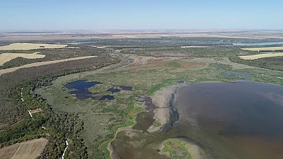 Силистра обяви частично бедствено положение заради пресъхването на езеро Сребърна
