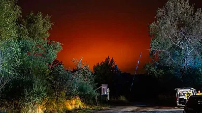 Белгия се бори с най-големия горски пожар в историята си