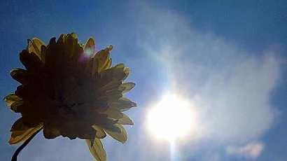 Слънце и до 32° днес, следобед се очакват краткотрайни валежи