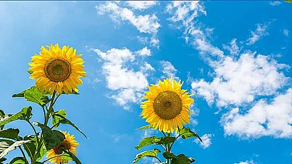 Слънце и до 32°, но следобед на места ще превали и прегърми