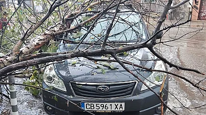 Мощна буря с градушка удари София, над 30 сигнала за паднали дървета