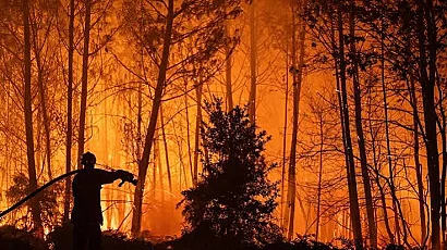 Два пожара горят в планина Славянка край Сандански