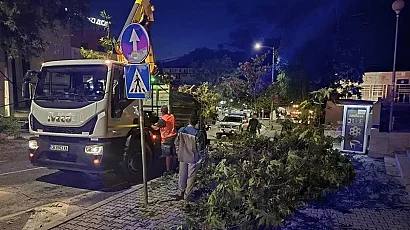 Бурята събори дървета и блокира пътища край Петрич, повреди автомобили