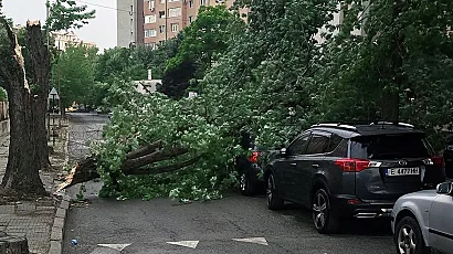 Бурите нанесоха щети в редица райони в страната, села останаха без ток