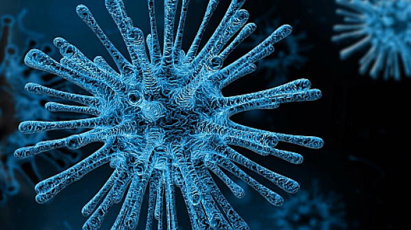 Нови случаи на коронавирус в света, 16 млн. души под карантина в Италия