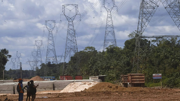 Отсякоха 100 000 дървета за магистрала