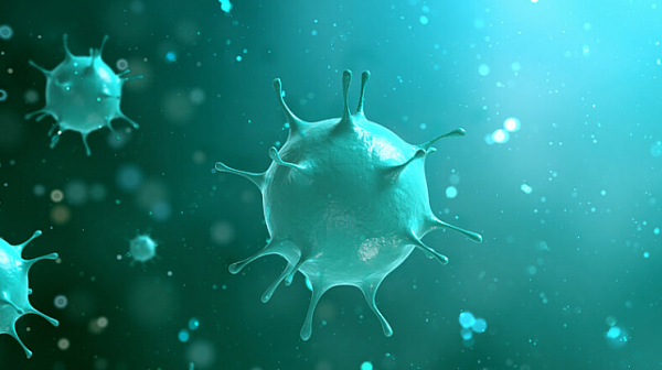 151 са новите случаи на коронавирус у нас