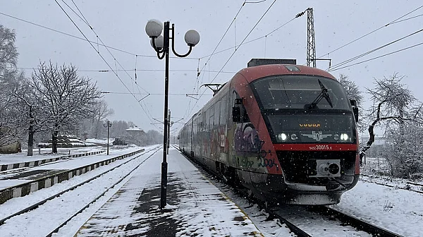Влакoвете между Мирково и Столник спрени заради паднало дърво