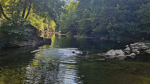 Европа губи последните си диви реки – и това се случва на Балканите
