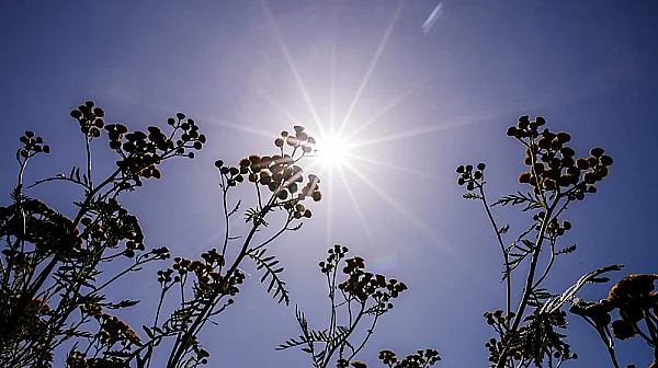 Слънчев четвъртък с температури до 13 градуса