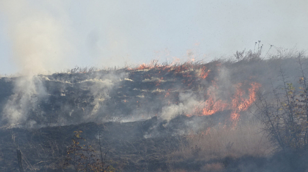 Продължава да гори пожара край родопското село Югово