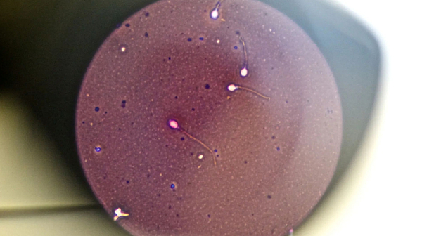 Донор на сперма има 197 деца в 14  държави