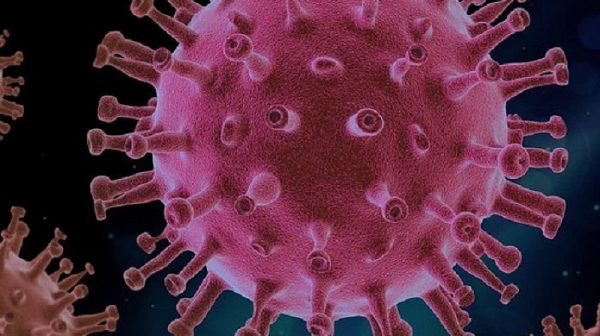Заразените с коронавирус - под 300. Починал е един човек