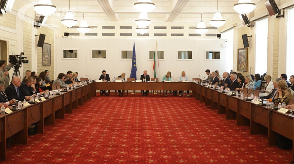 Конституционната комисия реши: За депутати ще могат да се избират и хора с двойно гражданство
