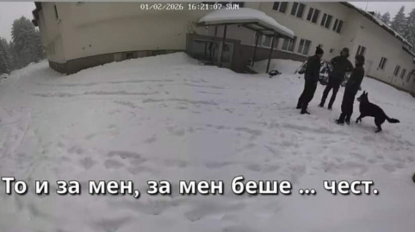 Не ви прави чест: Къде са кадрите от смъртта на „Петрохан“ и кой проспа кемпера?