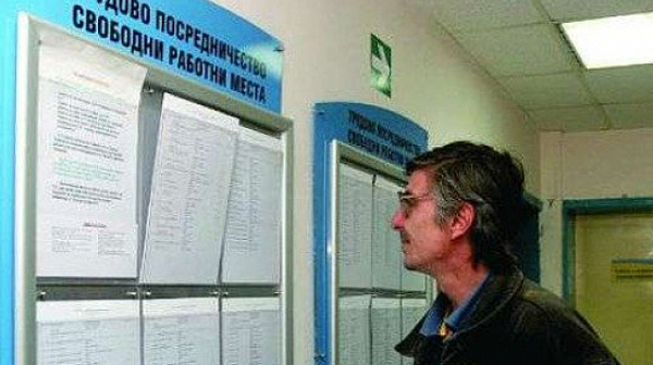 Огън по мързеливите българи. Връщат ги на работа