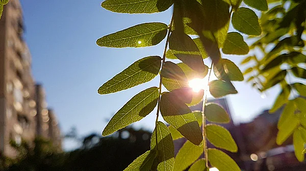 Слънчева неделя: Температури до 18°, от вторник застудява