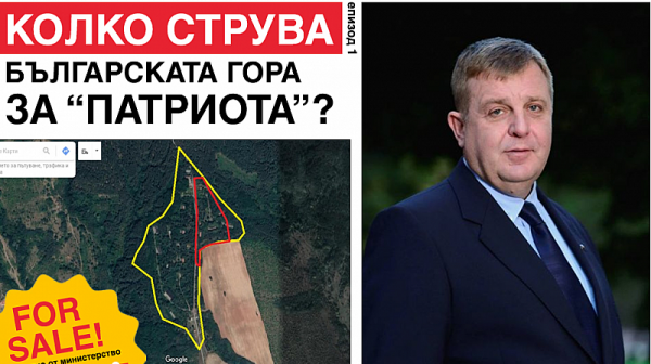 Общинари призоваха Фандъкова да спаси гората до Западен парк, която Каракачанов разпродава