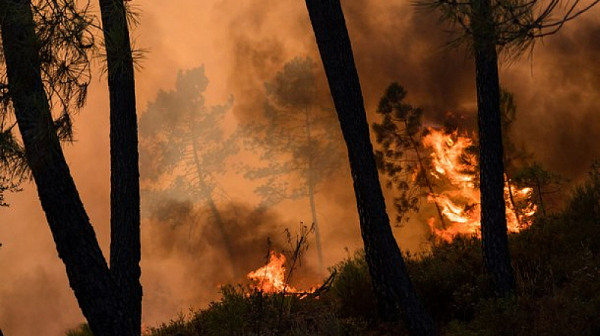 Пожарът край Казанлък изпепели 2000 декара растителност