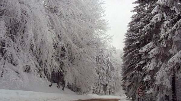 Метър сняг на ”Шипка” и ”Петрохан”, тираджии нарушават забраните за шофиране