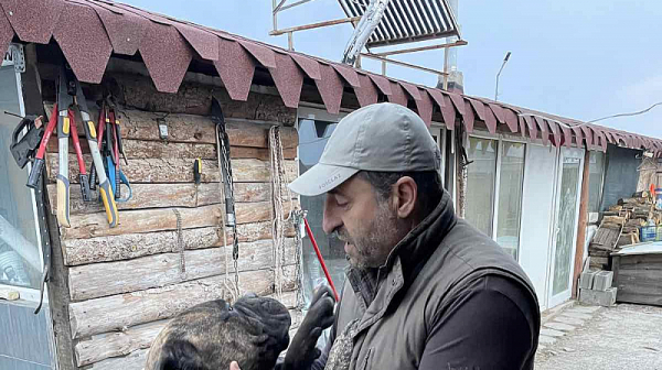 Треньорът Димитър Трифонов пред Фрог: Абсурд е Агенцията за безопасност на храните да отговаря за кучетата