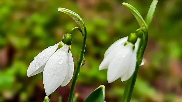 Максимални температури между 7 и 12 градуса: Времето се затопля