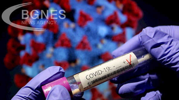 16 са новорегистрираните случаи на коронавирус у нас