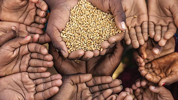 Гладът по света расте рязко, докато помощта намалява