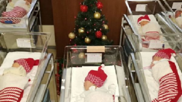 В болница ”Дева Мария” облякоха новородените като коледни джуджета