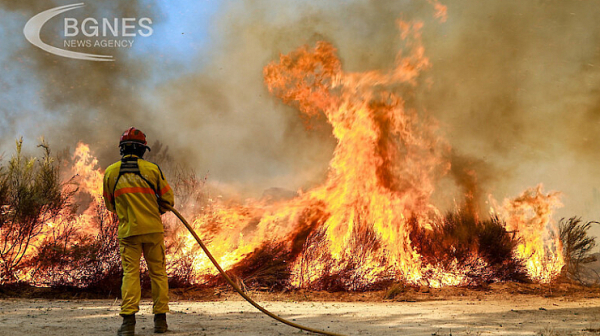 Огнен ад на остров Родос: Евакуират туристи, огънят достигна до хотели