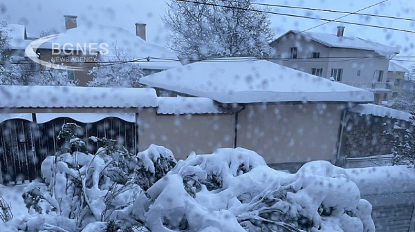 Евакуираха бедстващи семейства от снежния ад