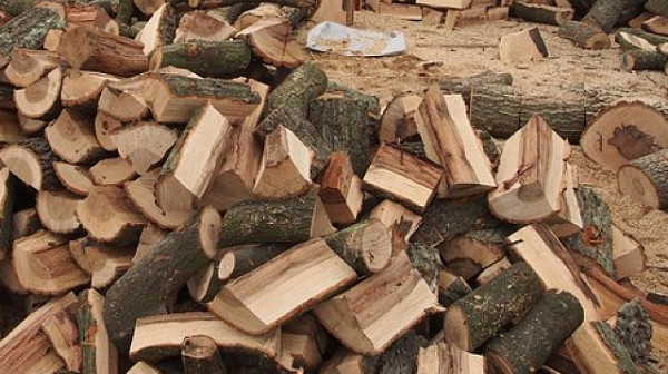 Поредна тесла: Цената на дървата за огрев се покачи