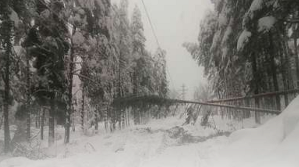 Паднали дървета и непочистени пътища затрудняват отстраняването на авариите в Западна България