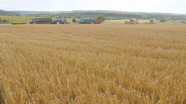 ЕС може да върне митата върху вноса на някои украински зърнени продукти