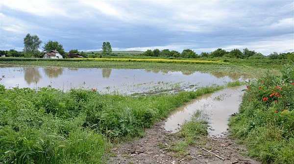 230 милиона евро за стопани с напълно унищожена реколта заради бедствия