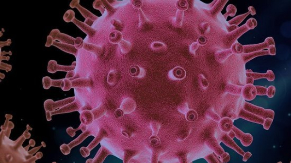 25 нови случая на коронавирус у нас