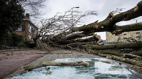 Бурята Юнис в Западна Европа взе 10 жертви