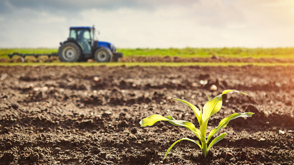 Цената на земята в България е под средното ниво на ЕС