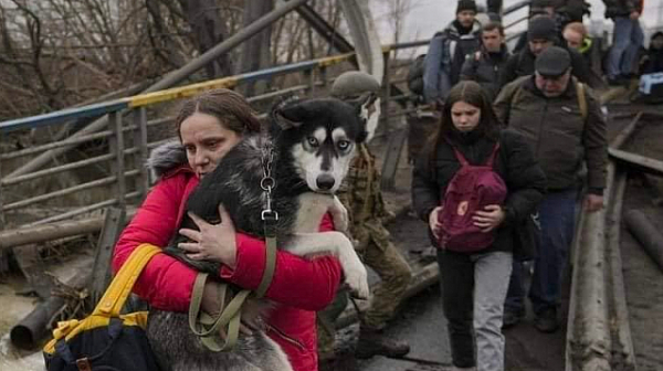 Украйна: 140 000 цивилни са евакуирани от фронтовата линия