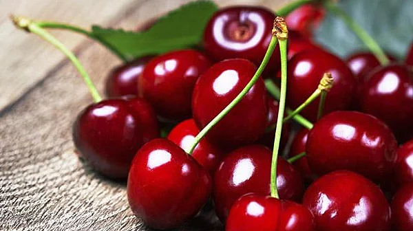 Ще ядем евтини череши тази година