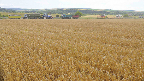 Министерството на земеделието ще предложи временна забрана за внос от Украйна на пшеница, слънчоглед и царевица