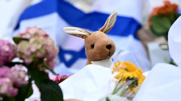 Какво се знае за стрелците от Бонди Бийч