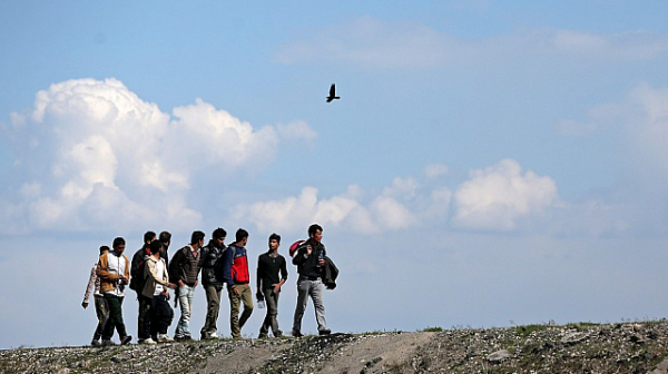 Турските власти заловиха нелегални мигранти при опит да достигнат Гърция