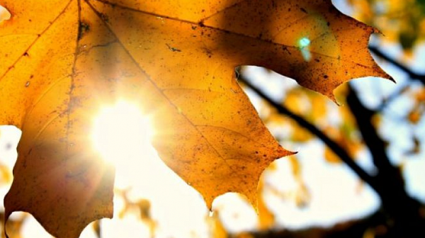 Нова седмица с амплитуди от 0° до 21° – слънце, мъгли и временни дъждове