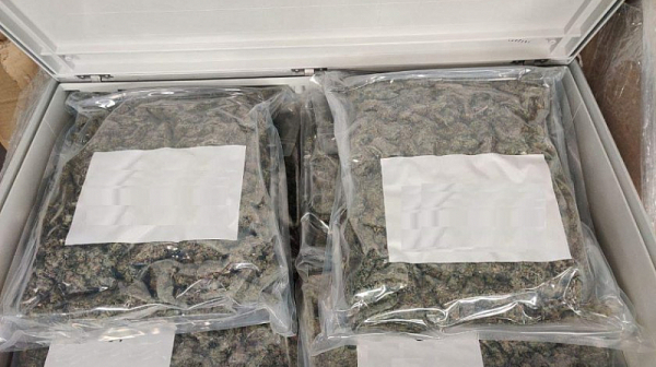 Откриха 17 кг. марихуана в пратка с две електрически табла